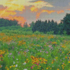 Wildflower Meadow Diamond Painting