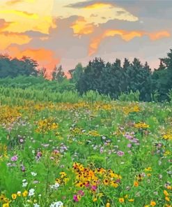 Wildflower Meadow Diamond Painting