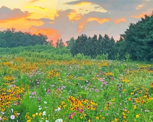 Wildflower Meadow Diamond Painting