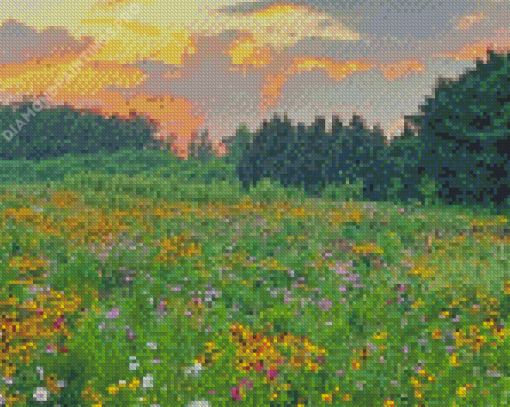 Wildflower Meadow Diamond Painting