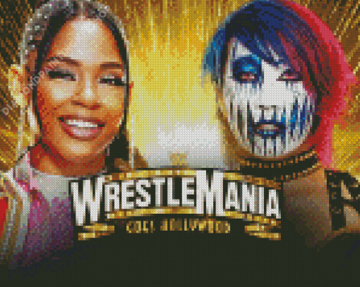 Wrestlemania Female Wrestlers Diamond Painting