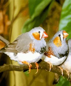 Zebra Finch Diamond Painting