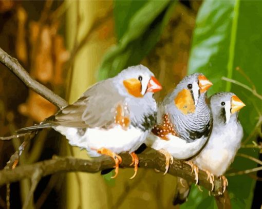 Zebra Finch Diamond Painting