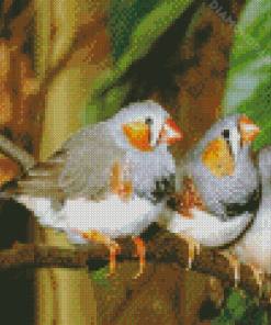 Zebra Finch Diamond Painting