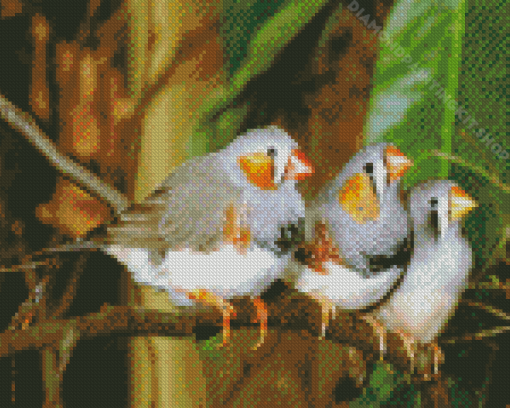 Zebra Finch Diamond Painting