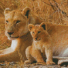 Aesthetic Lioness And Cubs Diamond Painting