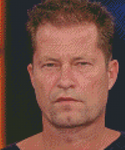 Aesthetic Til Schweiger Diamond Painting