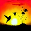 Bird Silhouette Diamond Painting