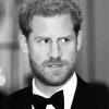 Black And White Prince Harry Diamond Painting