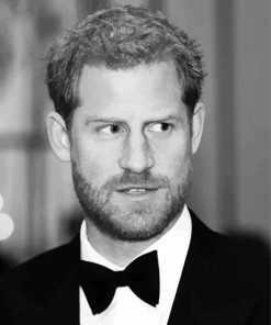 Black And White Prince Harry Diamond Painting