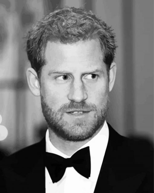 Black And White Prince Harry Diamond Painting