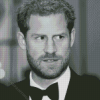 Black And White Prince Harry Diamond Painting