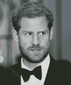 Black And White Prince Harry Diamond Painting