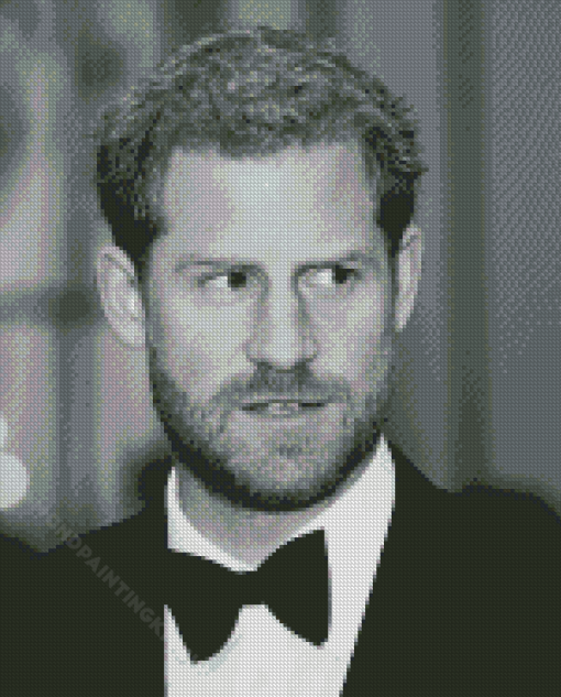 Black And White Prince Harry Diamond Painting