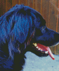 Black Golden Retriever Side View Diamond Painting