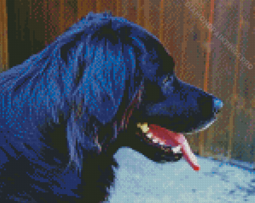 Black Golden Retriever Side View Diamond Painting