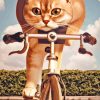 Cat Riding A Bike Diamond Painting