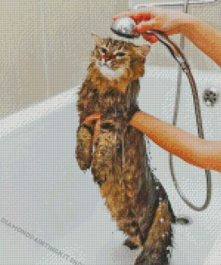 Cat Shower Time Diamond Painting