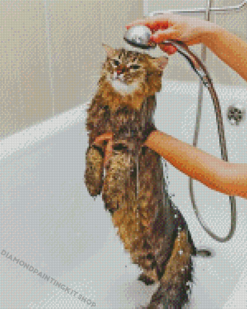 Cat Shower Time Diamond Painting