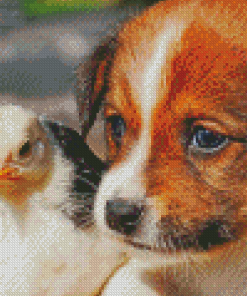 Chicken And Puppy Diamond Painting