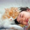 Cute Girl Sleeping With Cat Diamond Painting