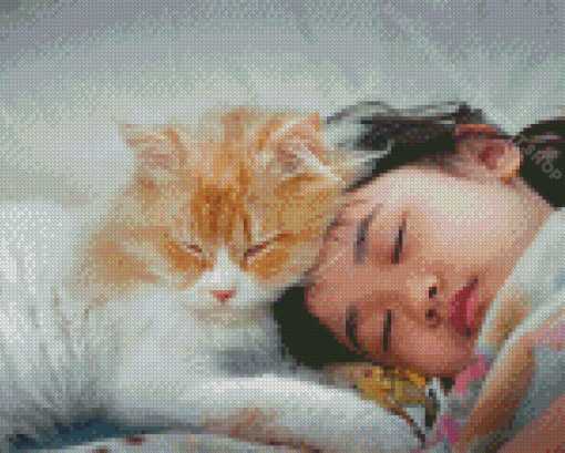 Cute Girl Sleeping With Cat Diamond Painting