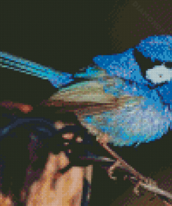 Fairy Wren Bird Diamond Painting