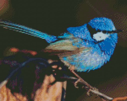 Fairy Wren Bird Diamond Painting