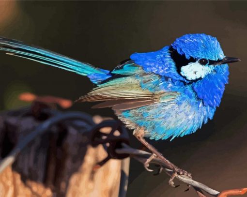 Fairy Wren Bird Diamond Painting