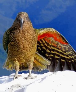 Kea Diamond Painting