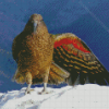 Kea Diamond Painting