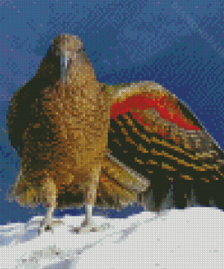 Kea Diamond Painting