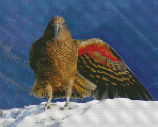 Kea Diamond Painting