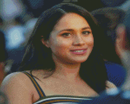 Rachel Zane Diamond Painting