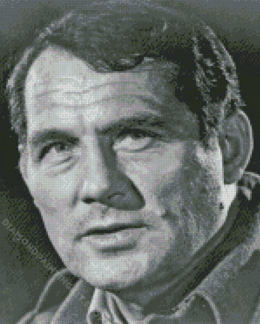 Robert Shaw Diamond Painting