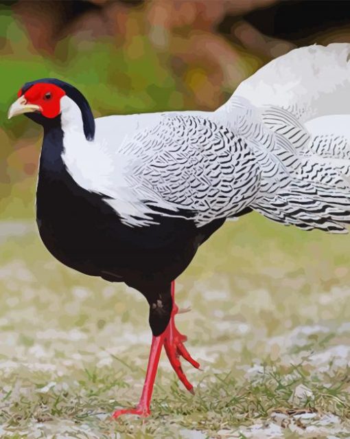 Silver Pheasant Diamond Painting