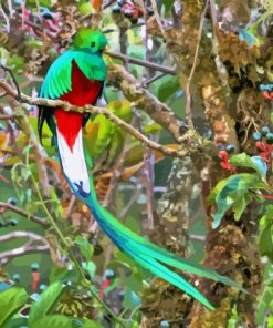 The Quetzal Diamond Painting