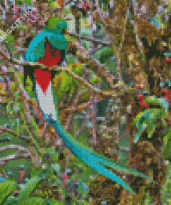 The Quetzal Diamond Painting