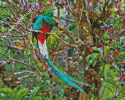 The Quetzal Diamond Painting