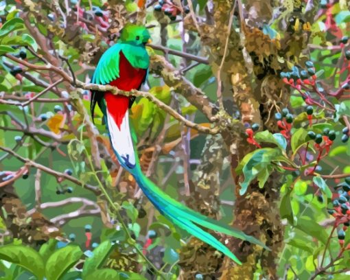 The Quetzal Diamond Painting