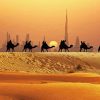 Dubai Desert Camels Silhouette Diamond Painting