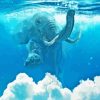 Elephant Under Water Diamond Painting