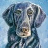 Flat Coated Retriever Dog Diamond Painting