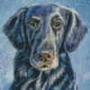 Flat Coated Retriever Dog Diamond Painting