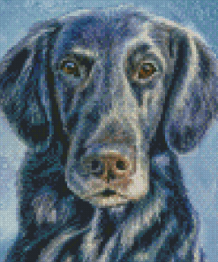 Flat Coated Retriever Dog Diamond Painting