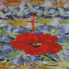 Floating Flower On Water Diamond Painting