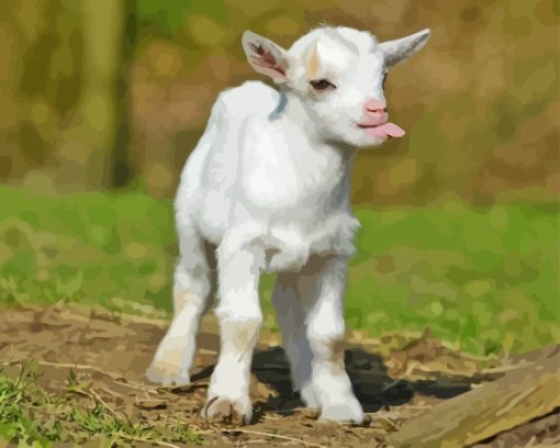 Funny Baby Goat Diamond Painting