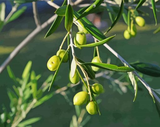 Green Olive Trees Diamond Painting