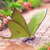 Moon Moth Bug Diamond Painting