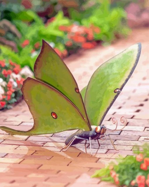 Moon Moth Bug Diamond Painting